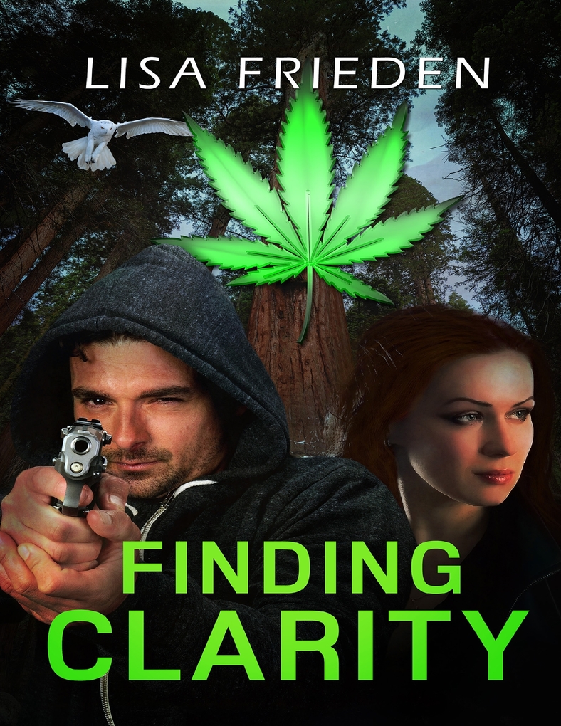 Finding Clarity als eBook Download von Lisa Frieden - Lisa Frieden