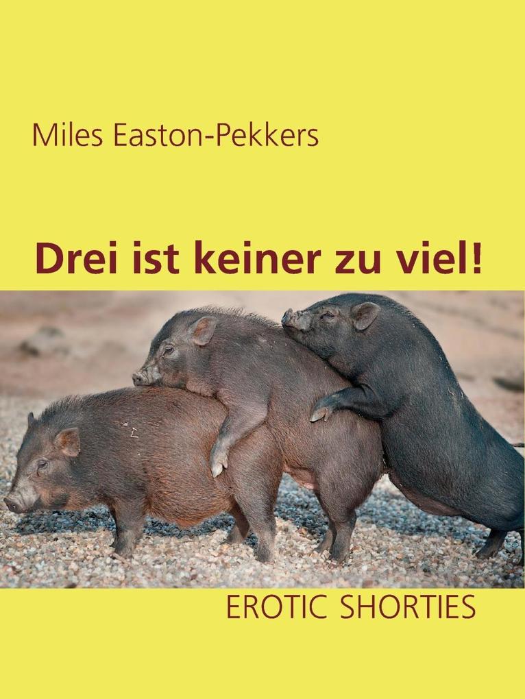 Drei ist keiner zu viel! als eBook Download von Miles Easton-Pekkers - Miles Easton-Pekkers