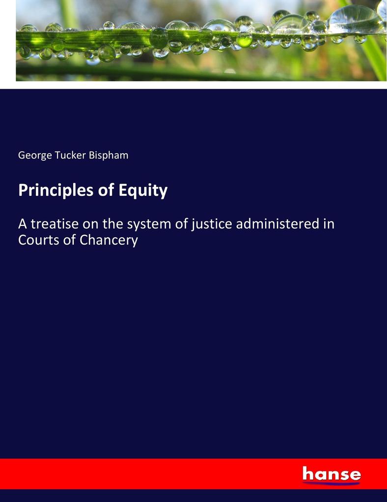 Principles of Equity als Buch von George Tucker Bispham - George Tucker Bispham