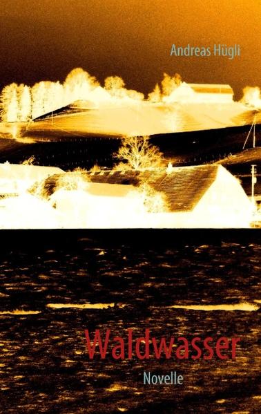 Waldwasser als Buch von Andreas Hügli - Andreas Hügli
