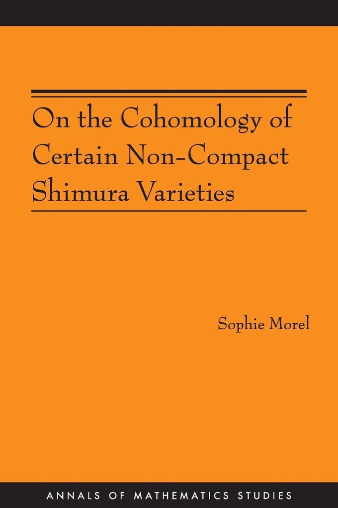 On the Cohomology of Certain Non-Compact Shimura Varieties (AM-173)