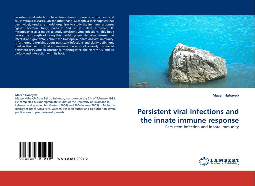 Persistent viral infections and the innate immune response
