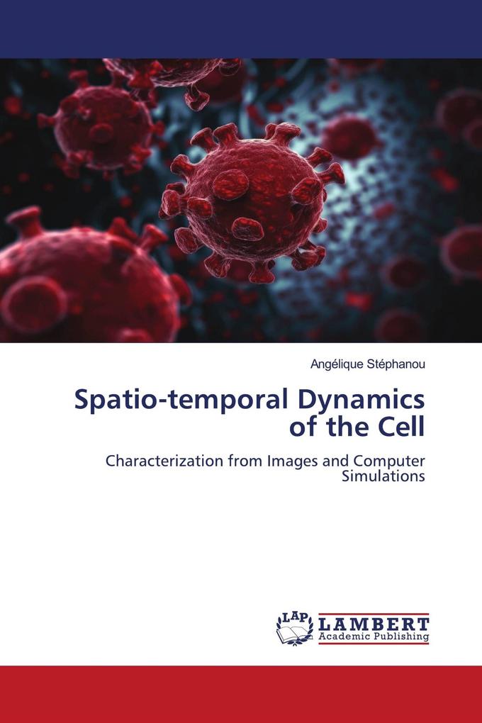 Spatio-temporal Dynamics of the Cell