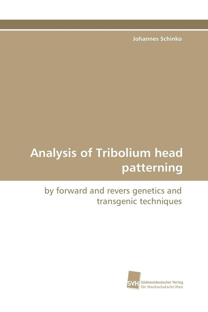 Analysis of Tribolium head patterning