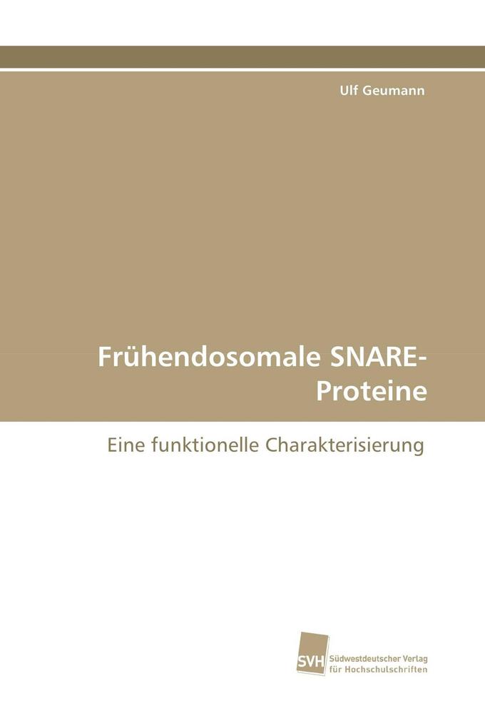 Frühendosomale SNARE-Proteine