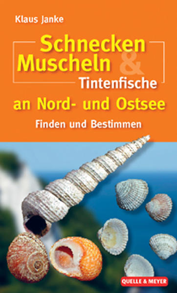 Schnecken Muscheln & Tintenfische an Nord- und Ostsee