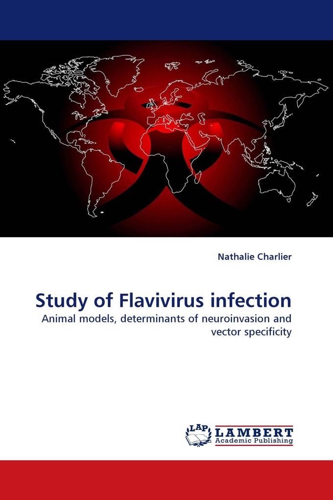 Study of Flavivirus infection