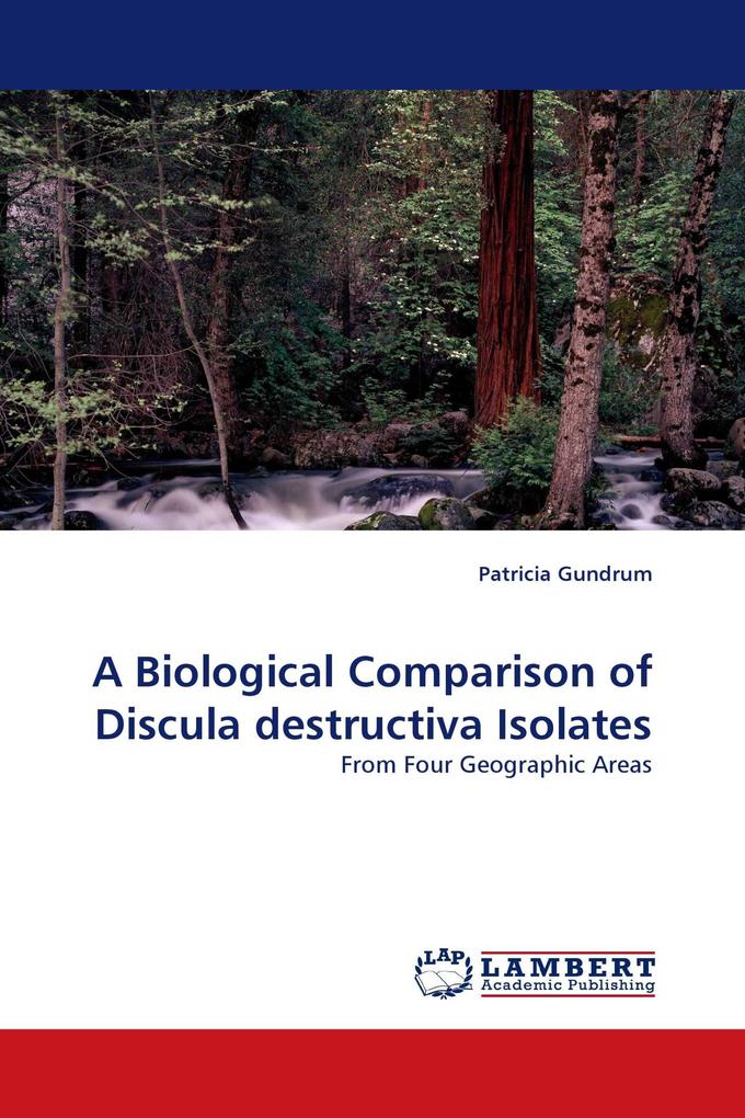A Biological Comparison of Discula destructiva Isolates