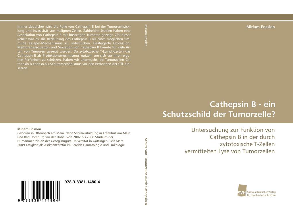 Cathepsin B - ein Schutzschild der Tumorzelle?