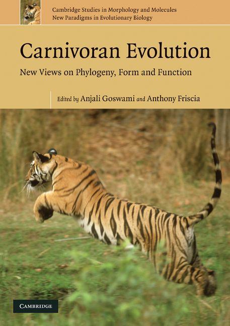 Carnivoran Evolution