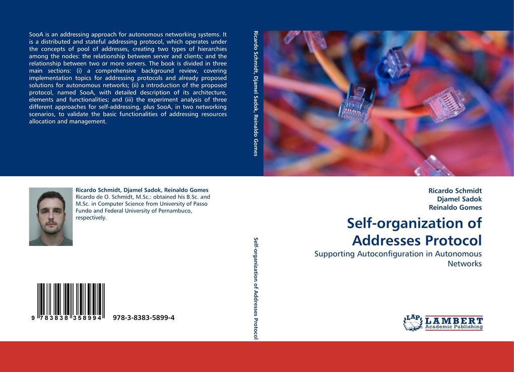 Self-organization of Addresses Protocol
