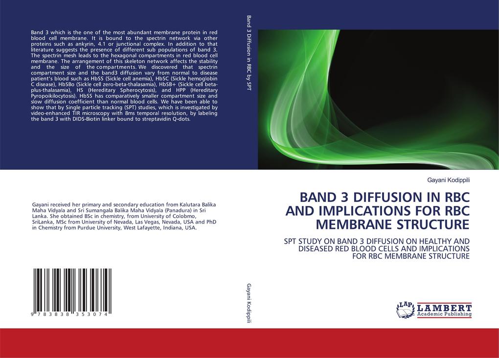 BAND 3 DIFFUSION IN RBC AND IMPLICATIONS FOR RBC MEMBRANE STRUCTURE