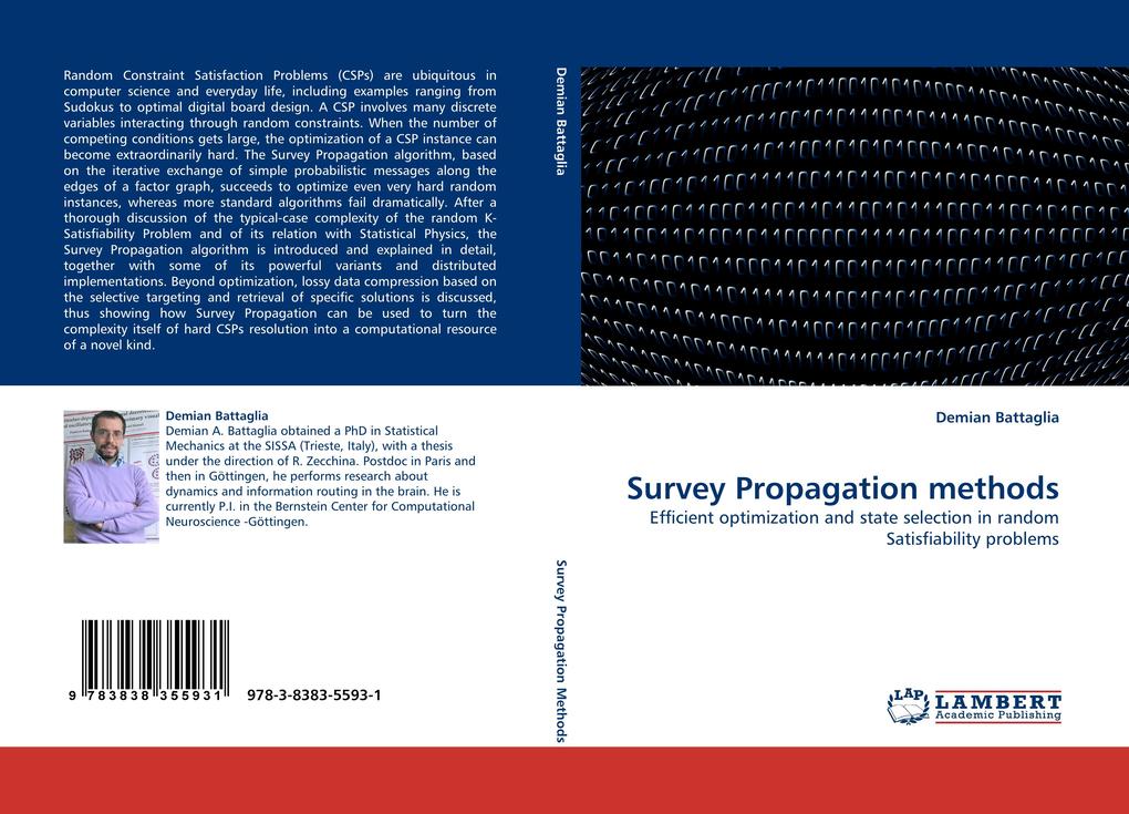 Survey Propagation methods