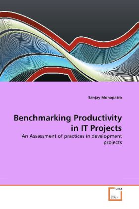 Benchmarking Productivity in IT Projects