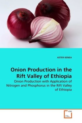 Onion Production in the Rift Valley of Ethiopia