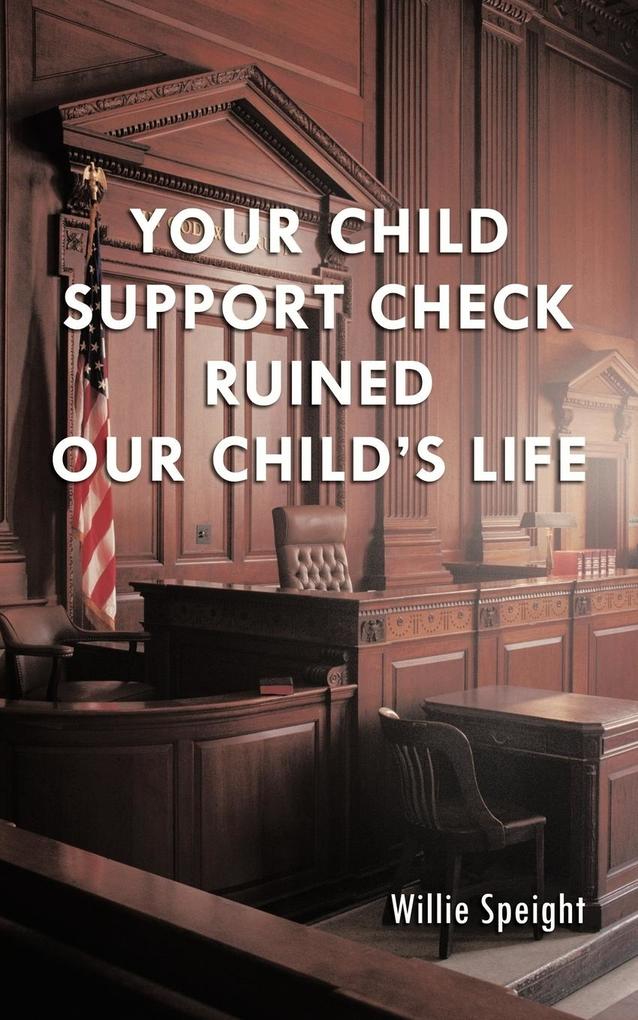 Your Child Support Check Ruined Our Child‘s Life