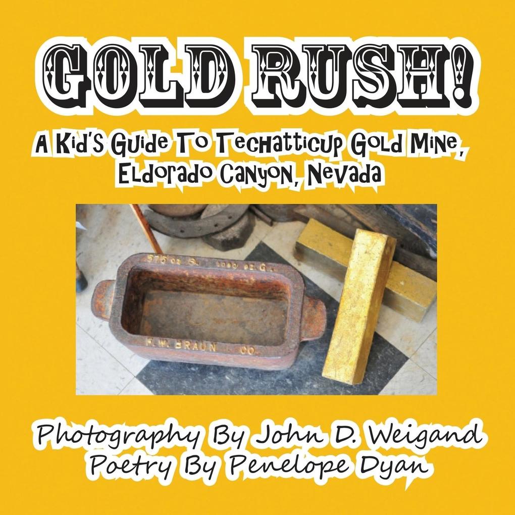 Gold Rush! A Kid‘s Guide To Techatticup Gold Mine Eldorado Canyon Nevada