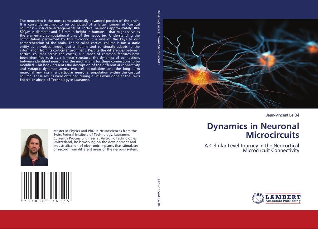 Dynamics in Neuronal Microcircuits