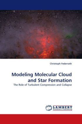 Modeling Molecular Cloud and Star Formation