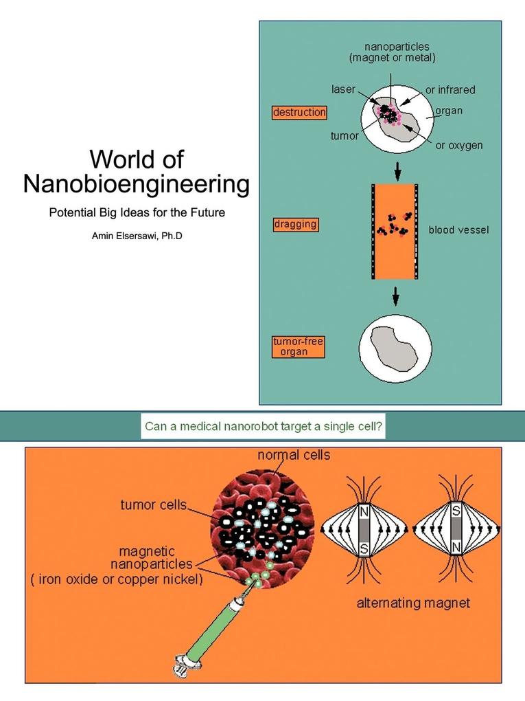 World of Nanobioengineering - Amin Elsersawi Ph. D