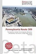 Pennsylvania Route 309