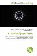 Brown Adipose Tissue