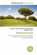 Dendrosenecio