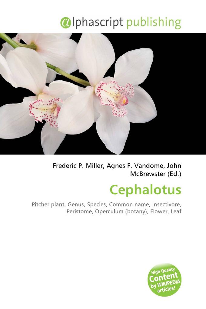 Cephalotus