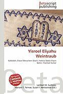 Yisroel Eliyahu Weintraub