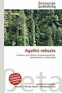 Agathis robusta