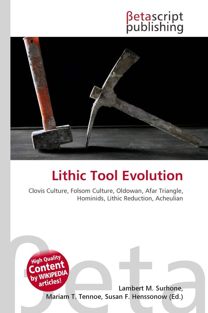 Lithic Tool Evolution