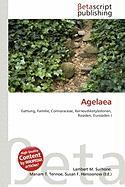 Agelaea