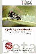 Agathomyia wankowiczi
