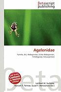 Agelenidae
