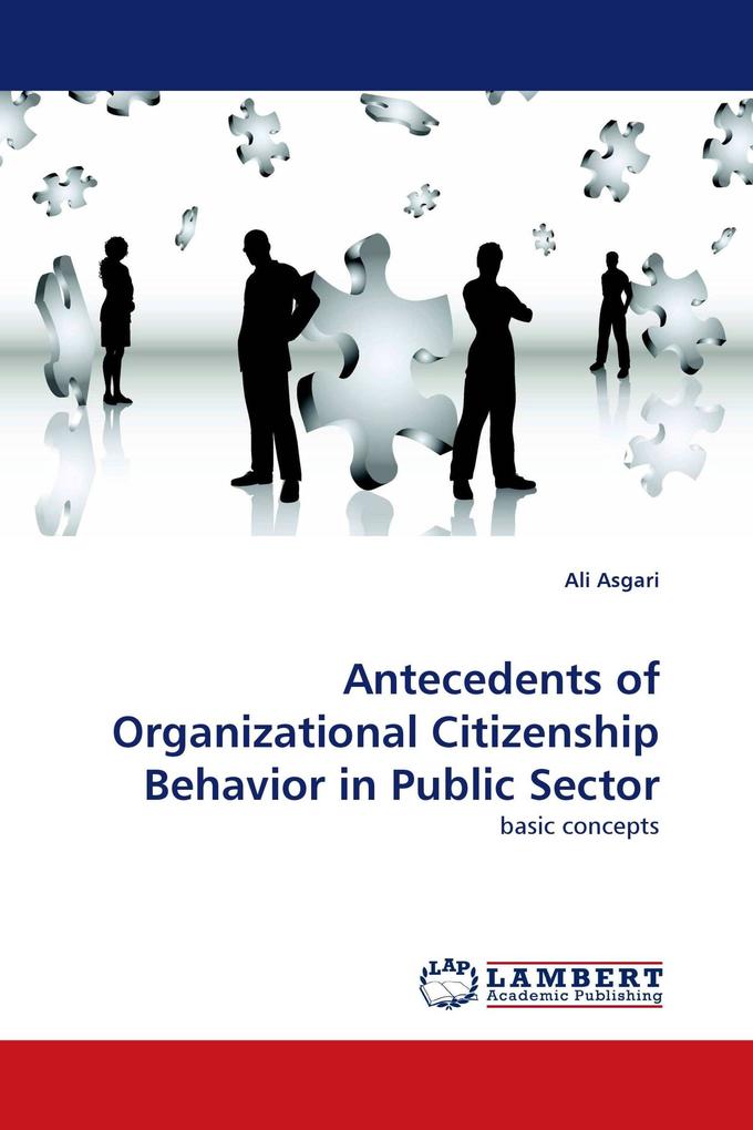 Antecedents of Organizational Citizenship Behavior in Public Sector