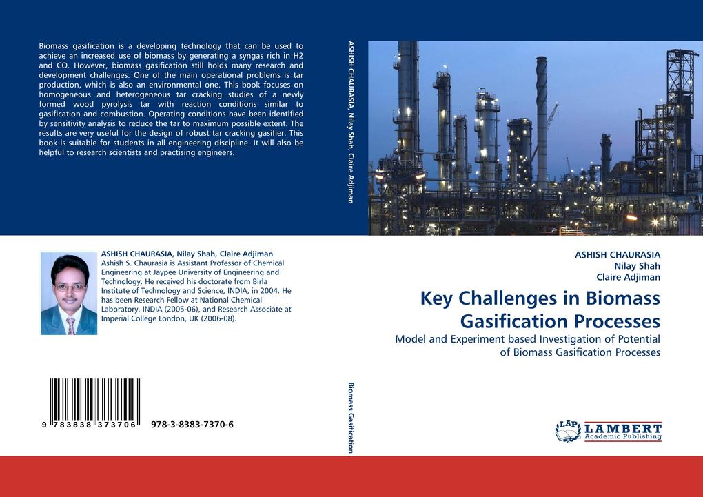 Key Challenges in Biomass Gasification Processes
