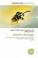 Antenna (biology)