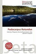 Podocarpus Rotundus
