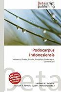 Podocarpus Indonesiensis