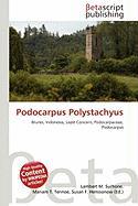 Podocarpus Polystachyus
