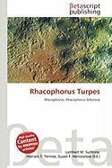 Rhacophorus Turpes