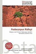 Podocarpus Ridleyi