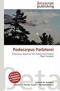Podocarpus Parlatorei