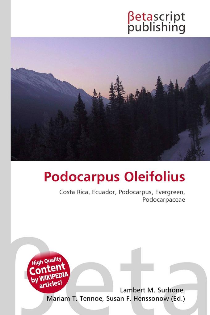 Podocarpus Oleifolius
