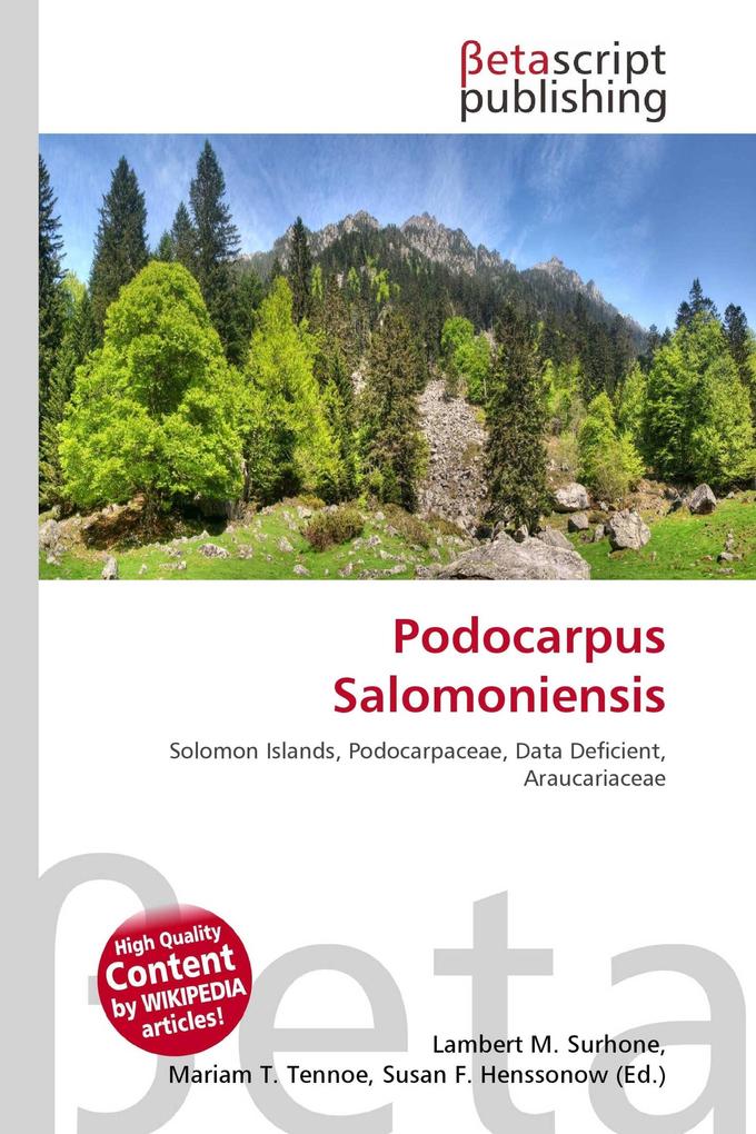 Podocarpus Salomoniensis