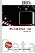 Rhamphomyia Flava
