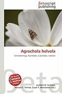 Agrochola helvola