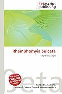 Rhamphomyia Sulcata