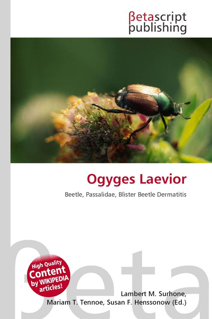 Ogyges Laevior