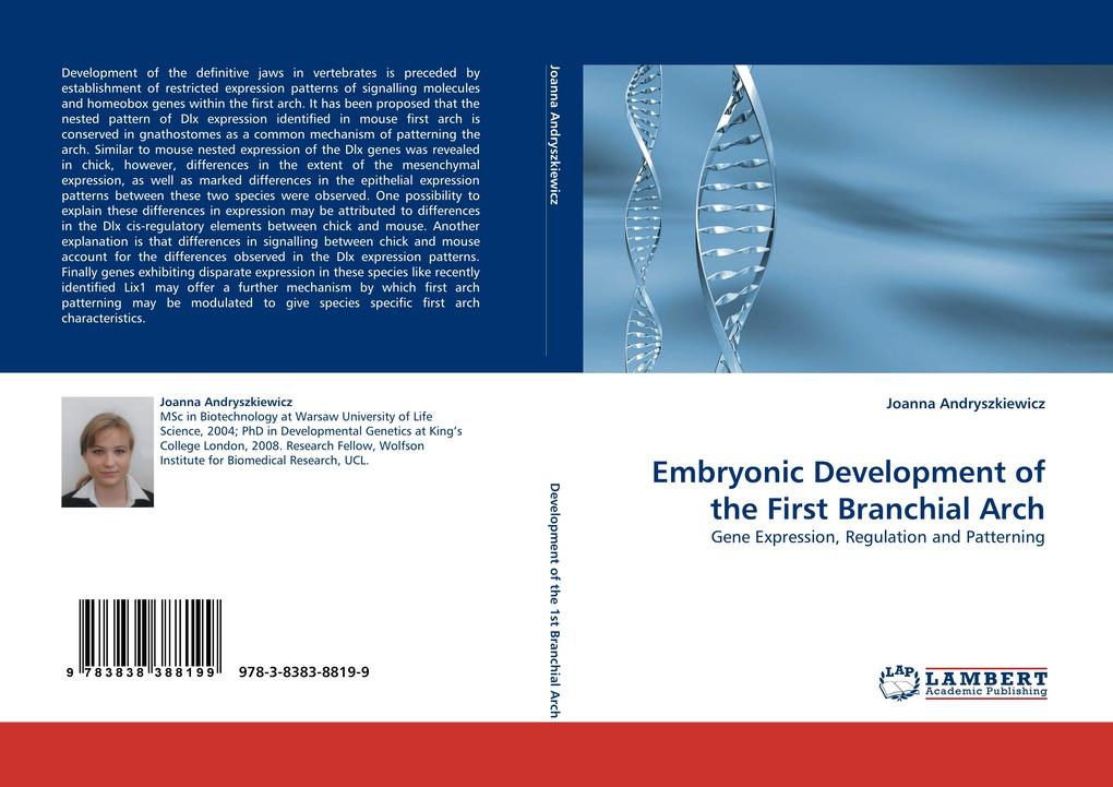 Embryonic Development of the First Branchial Arch